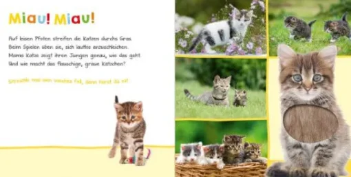 ars Edition - Hör mal rein, wer kann das sein? Lieblingstiere | Teddy Toys Kinderwelt