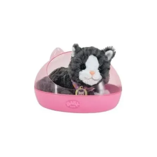 BABY born Mein Kätzchen Cookie mit Box | Teddy Toys Kinderwelt