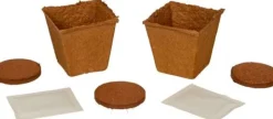 Bienen-Garten Anzucht-Set - Nature Zoom 18698 | Teddy Toys Kinderwelt