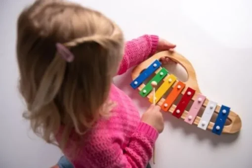 Boogie Bee Metallophon Holz mit 8 Noten | Teddy Toys Kinderwelt