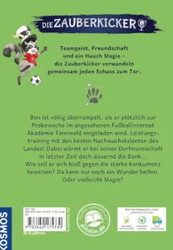 Die Zauberkicker 1 Anpfiff! | Teddy Toys Kinderwelt
