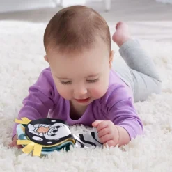 Fisher-Price 2-in-1 Wippender Otter zum esielen in der Bauchlage, | Teddy Toys Kinderwelt