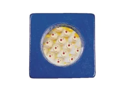 HABA Holzbausteine - Erkundungssteine | Teddy Toys Kinderwelt