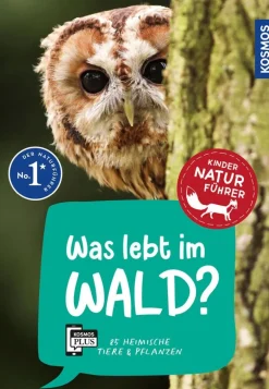 Kindernaturführer Was lebt im Wald? | Teddy Toys Kinderwelt