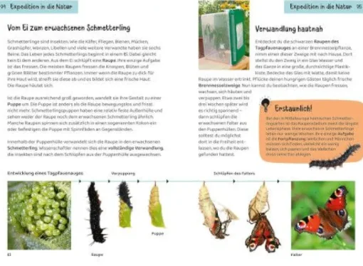 Kindernaturführer Welcher Schmetterling ist das? | Teddy Toys Kinderwelt