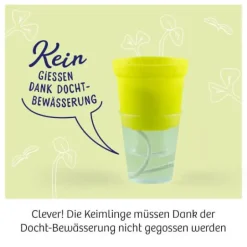 Kosmos Experimentierkasten - Microgreen-Garten | Teddy Toys Kinderwelt