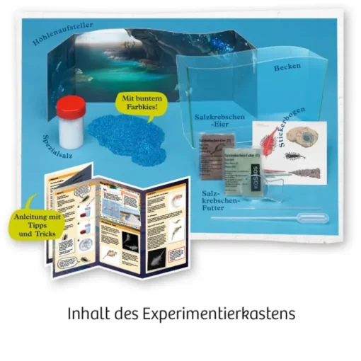 Kosmos Fun Science - Wuselnde Salzkrebse | Experimentierkästen | Experimentieren & Entdecken | Spielzeug | Teddy Toys Kinderwelt