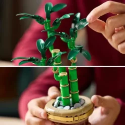 LEGO® Botanicals 10344 Glücks-Bambus | Teddy Toys Kinderwelt
