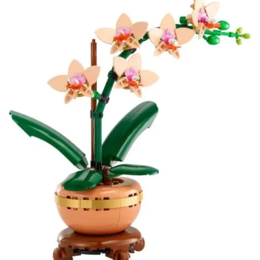 LEGO® Botanicals 10343 Mini-Orchidee | Teddy Toys Kinderwelt
