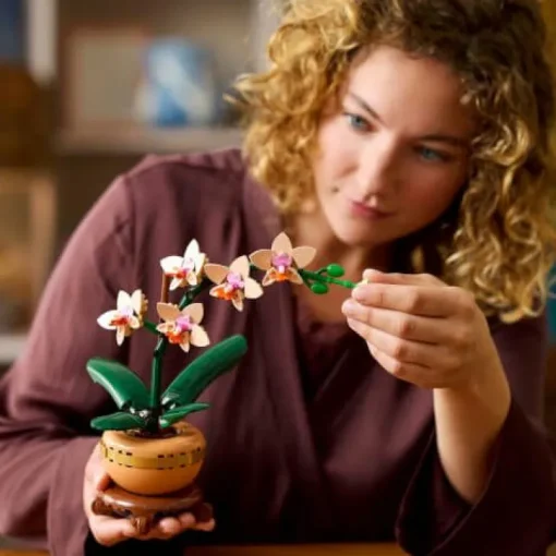 LEGO® Botanicals 10343 Mini-Orchidee | Teddy Toys Kinderwelt