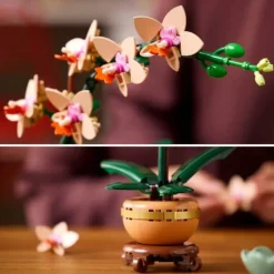 LEGO® Botanicals 10343 Mini-Orchidee | Teddy Toys Kinderwelt