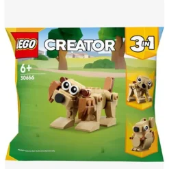 LEGO® Creator 30666 Geschenkset mit Tieren | Teddy Toys Kinderwelt