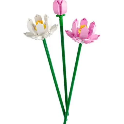 LEGO® Creator 40647 Lotusblumen | Teddy Toys Kinderwelt