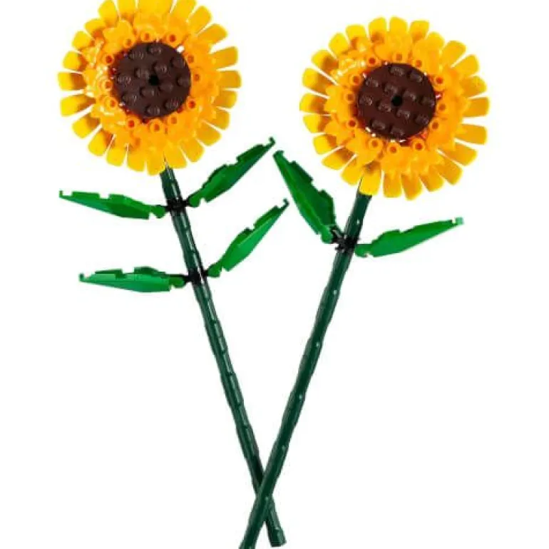 LEGO® Creator 40524 Sonnenblumen | Teddy Toys Kinderwelt