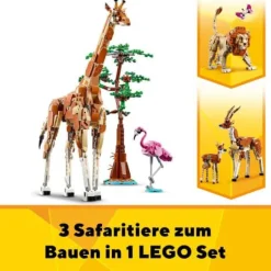 LEGO® Creator 31150 Tiersafari | Teddy Toys Kinderwelt