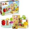 LEGO® DUPLO 10983 Biomarkt | Teddy Toys Kinderwelt