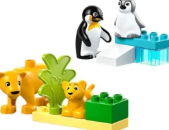 LEGO® DUPLO 10442 Wildtier-Familien: Pinguine und Löwen | Teddy Toys Kinderwelt