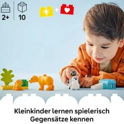 LEGO® DUPLO 10442 Wildtier-Familien: Pinguine und Löwen | Teddy Toys Kinderwelt