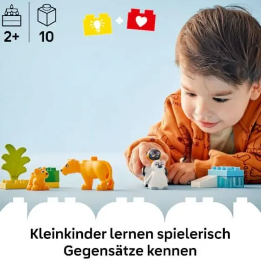 LEGO® DUPLO 10442 Wildtier-Familien: Pinguine und Löwen | Teddy Toys Kinderwelt
