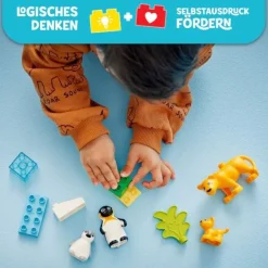 LEGO® DUPLO 10442 Wildtier-Familien: Pinguine und Löwen | Teddy Toys Kinderwelt