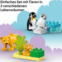 LEGO® DUPLO 10442 Wildtier-Familien: Pinguine und Löwen | Teddy Toys Kinderwelt