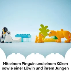 LEGO® DUPLO 10442 Wildtier-Familien: Pinguine und Löwen | Teddy Toys Kinderwelt
