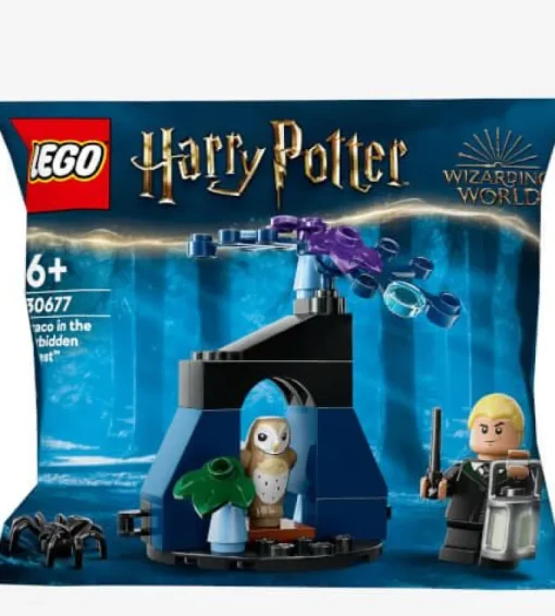 LEGO® Harry Potter™ 30677 Draco im Verbotenen Wald | Teddy Toys Kinderwelt
