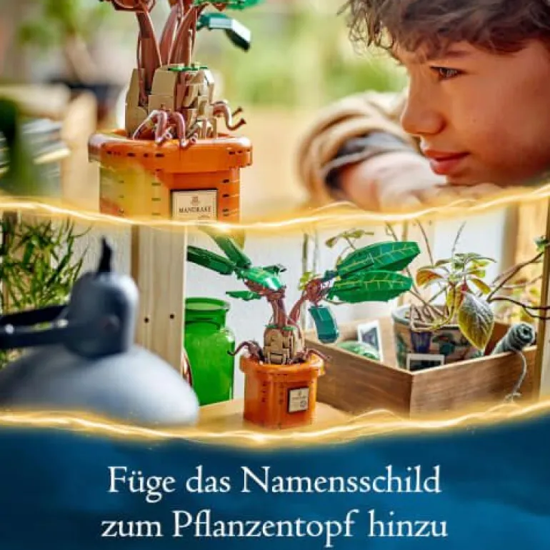 LEGO® Harry Potter™ 76433 Zaubertrankpflanze: Alraune | Teddy Toys Kinderwelt