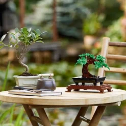 LEGO® Icons 10281 Bonsai Baum | Teddy Toys Kinderwelt