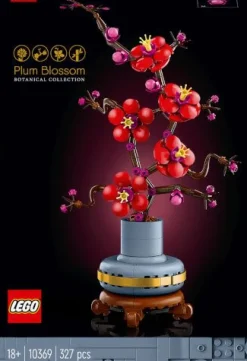 LEGO® Icons 10369 Botanical Pflaumenblüte | Teddy Toys Kinderwelt