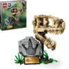 LEGO® Jurassic World 76964 Dinosaurier-Fossilien: T.-rex-Kopf | Teddy Toys Kinderwelt