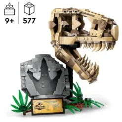 LEGO® Jurassic World 76964 Dinosaurier-Fossilien: T.-rex-Kopf | Teddy Toys Kinderwelt