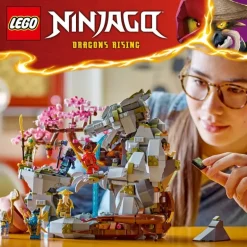 LEGO® Ninjago® 71819 Drachenstein-Tempel | Teddy Toys Kinderwelt