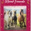 Pferdefreunde - Freundebuch: Meine Freunde mit 3-D-Bild | Teddy Toys Kinderwelt