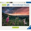 Ravensburger 12000793 Puzzle Ein Sturm zieht auf 1000 Teile | Teddy Toys Kinderwelt