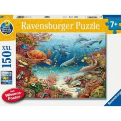 Ravensburger 13411 Puzzle Wieso? Weshalb? Warum? Meerestiere am K | Teddy Toys Kinderwelt