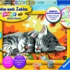 Ravensburger® Malen nach Zahlen - Kätzchen im Herbst | Teddy Toys Kinderwelt