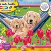 Ravensburger Malen nach Zahlen 20164 - Kuschelpause | Teddy Toys Kinderwelt