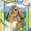 Ravensburger? Malen nach Zahlen - Knuddelh?schen | Teddy Toys Kinderwelt