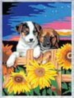 Ravensburger® Malen nach Zahlen - Welpen im Sonnenuntergang | Teddy Toys Kinderwelt