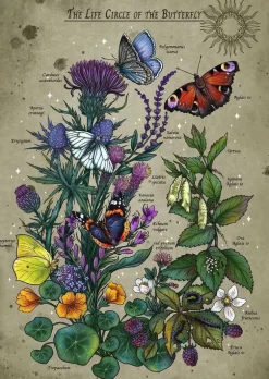Ravensburger Puzzle 12001435 - Lifecircle Butterfly - 1000 Teile | Teddy Toys Kinderwelt