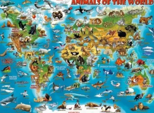 Ravensburger® Puzzle XXL - Tiere rund um die Welt, 300 Teile | Teddy Toys Kinderwelt