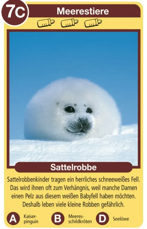 Ravensburger® Spiele - Quartett Tierkinder | Quartett | Kartenspiele | Spiele | Spielzeug | Teddy Toys Kinderwelt