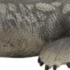 Schleich® Dinosaurs - Nothosaurus | Teddy Toys Kinderwelt