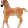 schleich® HORSE CLUB 13984 Araber Fohlen | Teddy Toys Kinderwelt