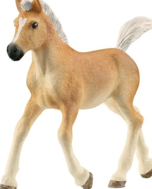 schleich® Horse Club 13951 Haflinger Fohlen | Teddy Toys Kinderwelt