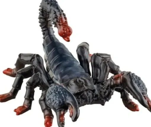 Schleich® Wild Life - Skorpion | Teddy Toys Kinderwelt