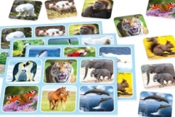 Schmidt Spiele - Zoo Lotto, Metalldose | Teddy Toys Kinderwelt