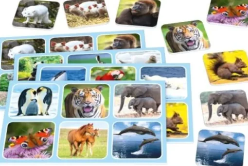 Schmidt Spiele - Zoo Lotto, Metalldose | Teddy Toys Kinderwelt