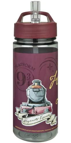 Scooli - AERO Trinkflasche Harry Potter | Teddy Toys Kinderwelt